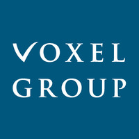 voxel_group_logo