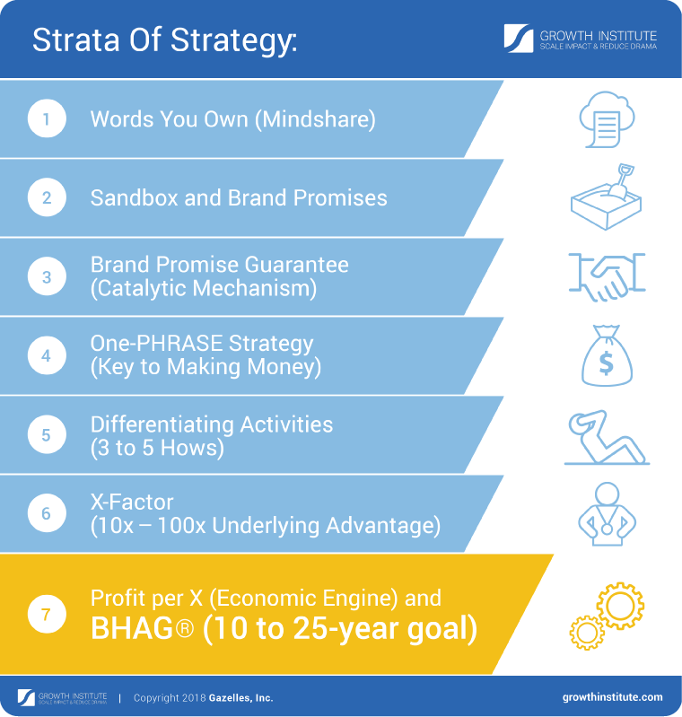 bhag_examples_strategy