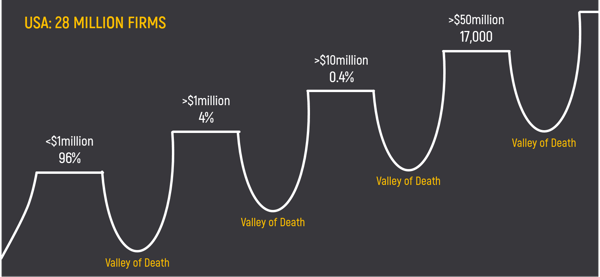 valleys of deaath of companies