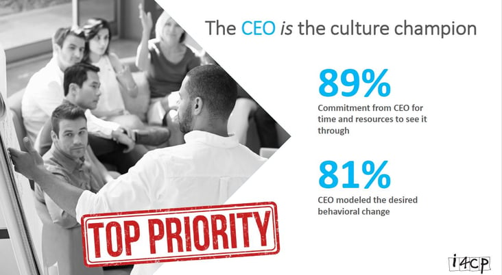 ceo culture renovation champion