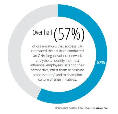 culure renovation organizational network analysis