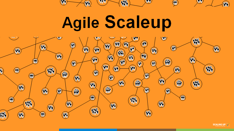 the agile scaleup organization structure