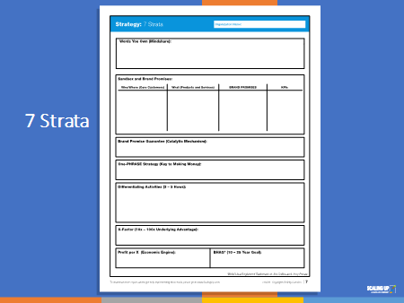 the 7 strata tool gets your entire company aligned