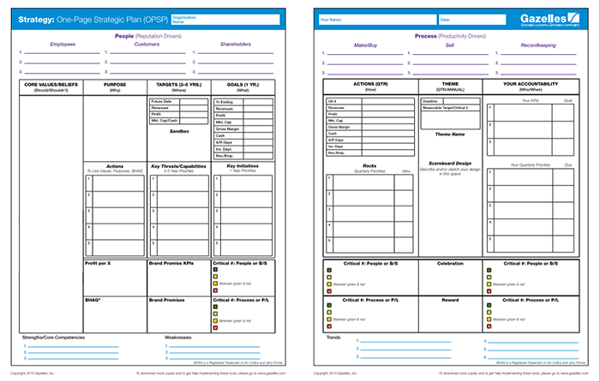 The One Page Strategic Plan (OPSP)