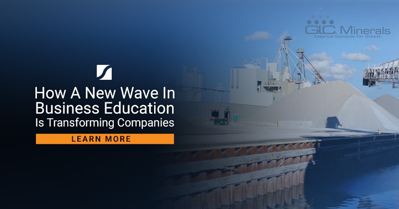 How A New Wave In Business Education Is Transforming Companies