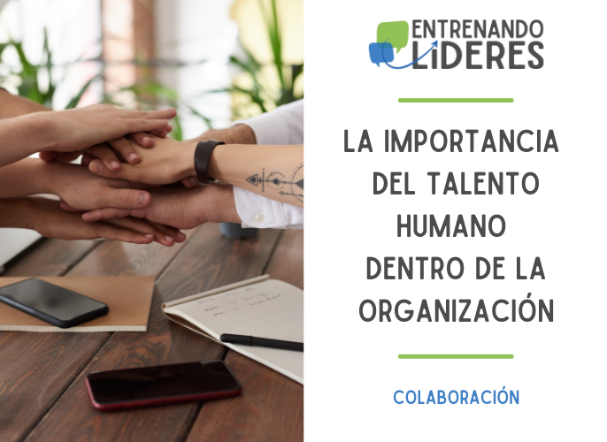 La Importancia Del Talento Humano En Las Organizaciones: Primera Sesión ...