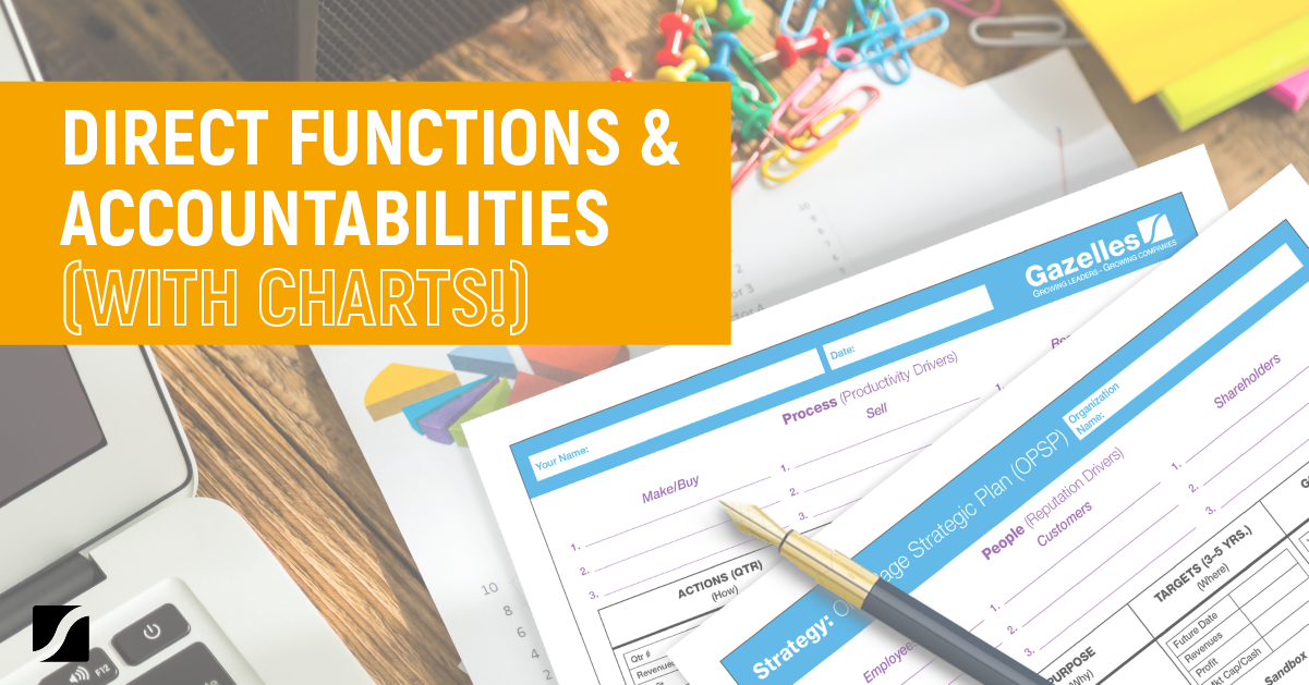 How To Direct Functions & Accountabilities In Your Business (With Charts!)